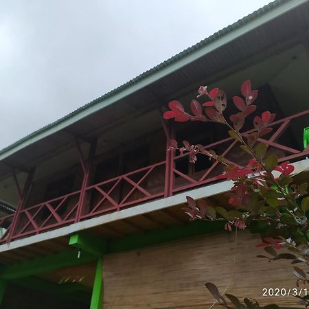 Green Forest Tangkahan Room photo