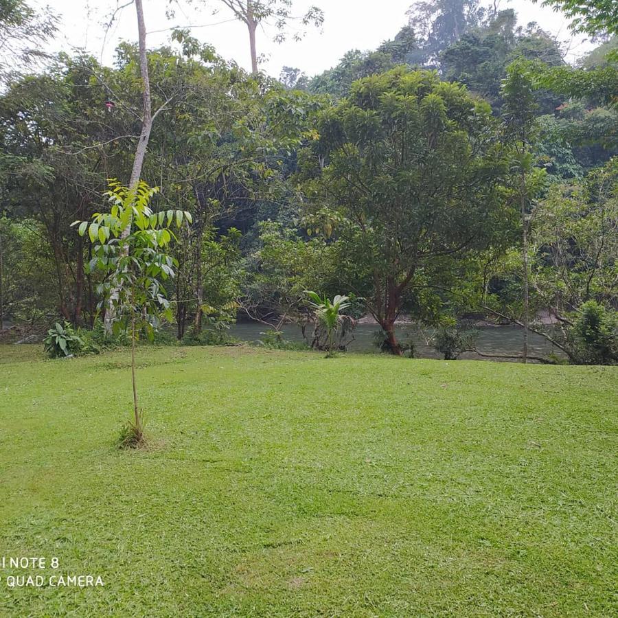 Green Forest Tangkahan Exterior photo
