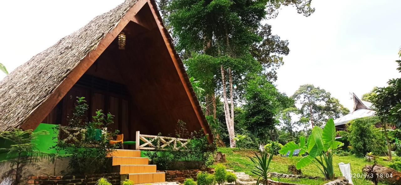Green Forest Tangkahan Exterior photo