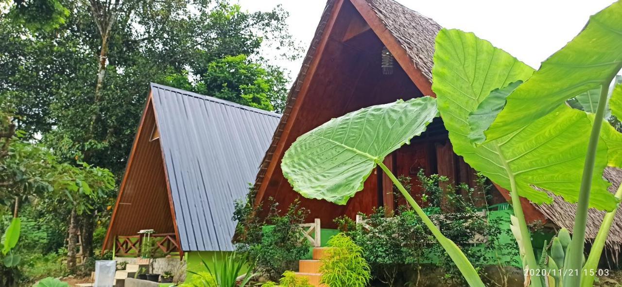 Green Forest Tangkahan Exterior photo