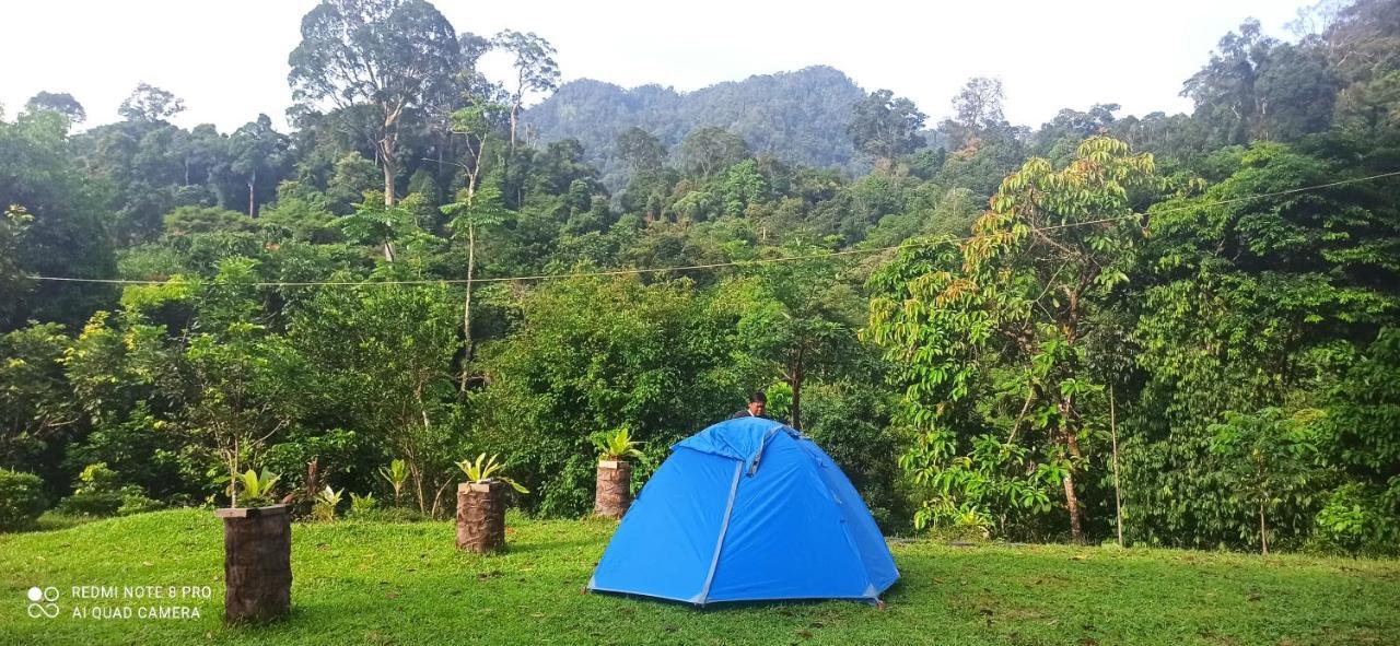 Green Forest Tangkahan Exterior photo