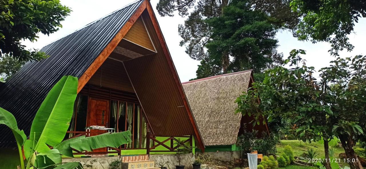 Green Forest Tangkahan Exterior photo