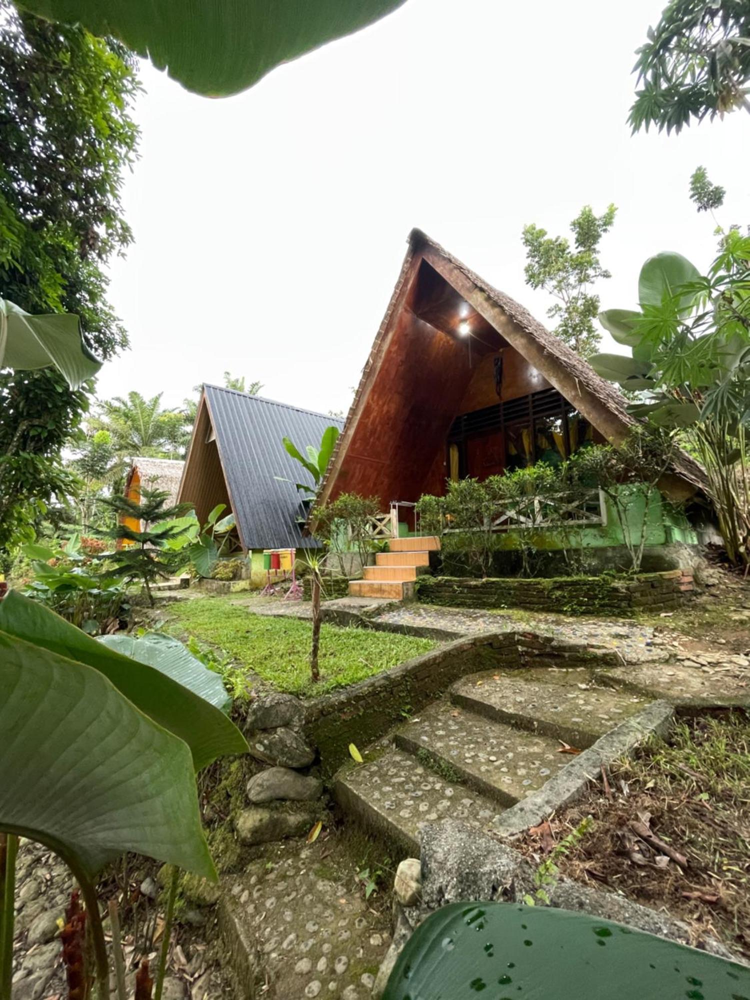 Green Forest Tangkahan Exterior photo