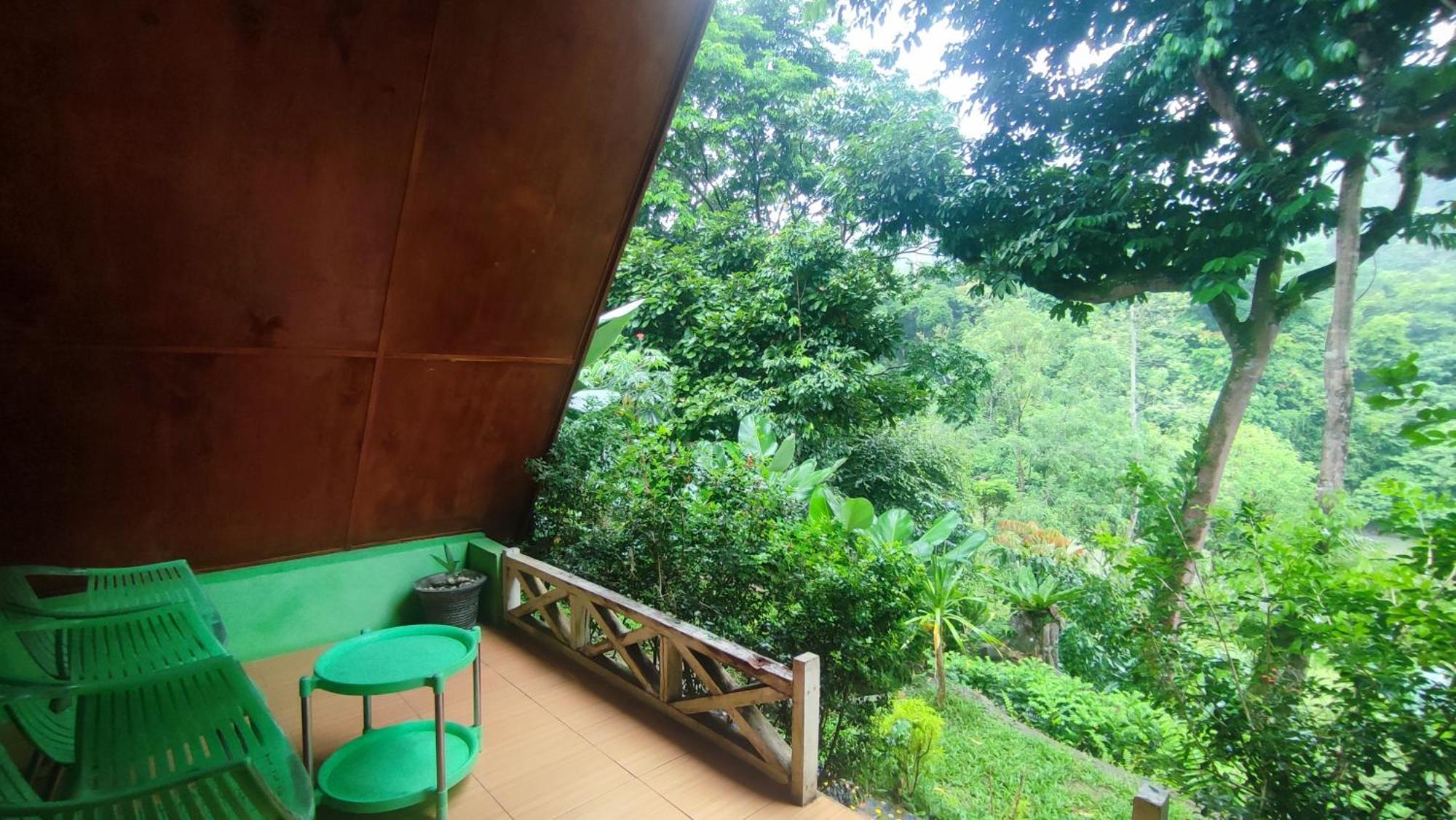 Green Forest Tangkahan Room photo