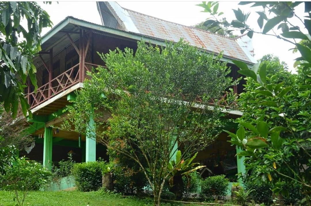 Green Forest Tangkahan Room photo