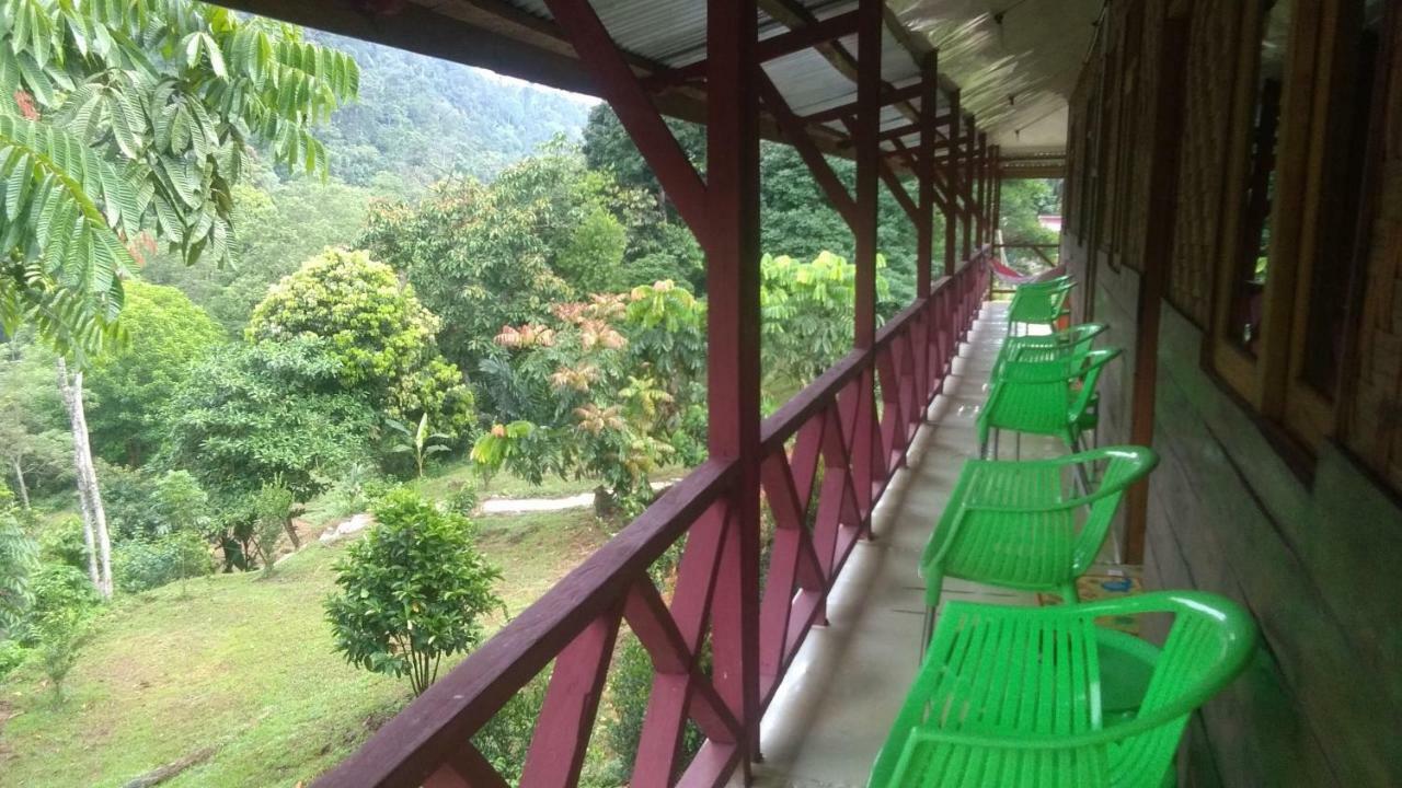 Green Forest Tangkahan Exterior photo