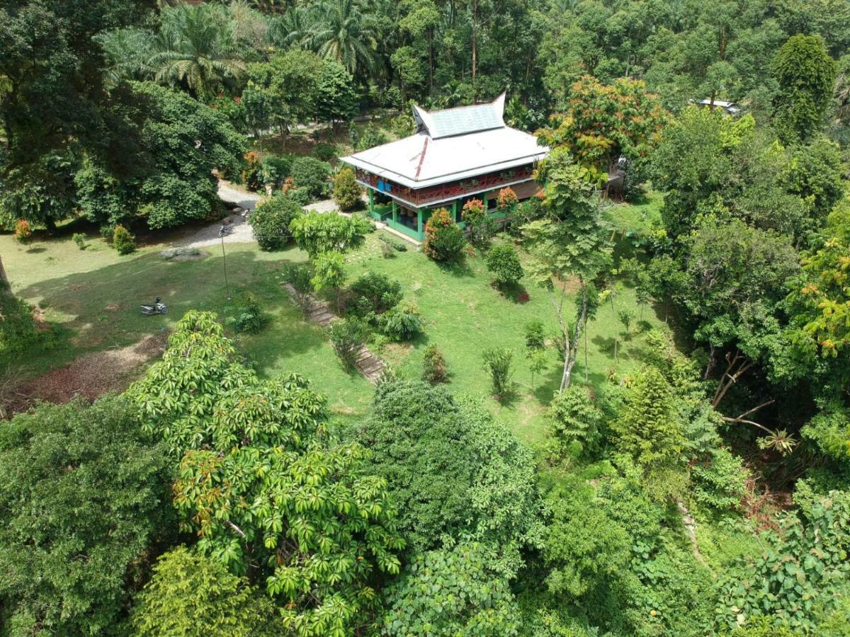 Green Forest Tangkahan Exterior photo