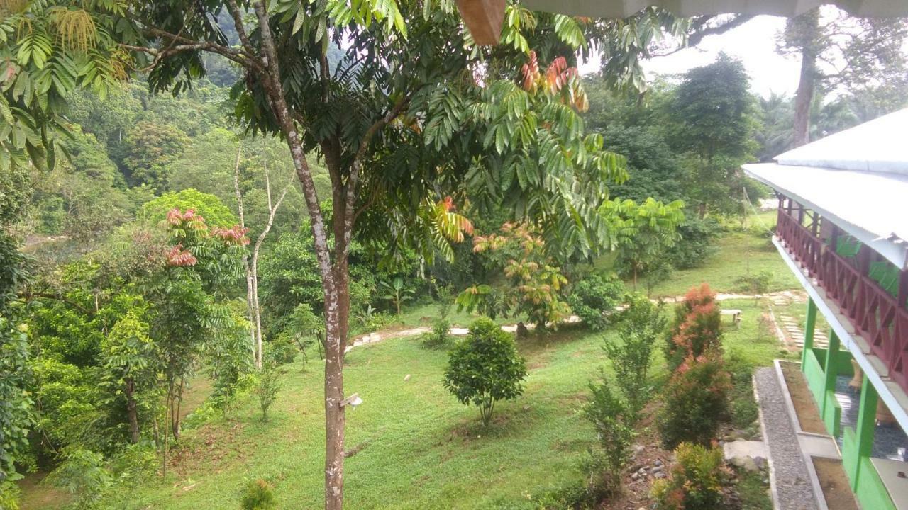 Green Forest Tangkahan Exterior photo