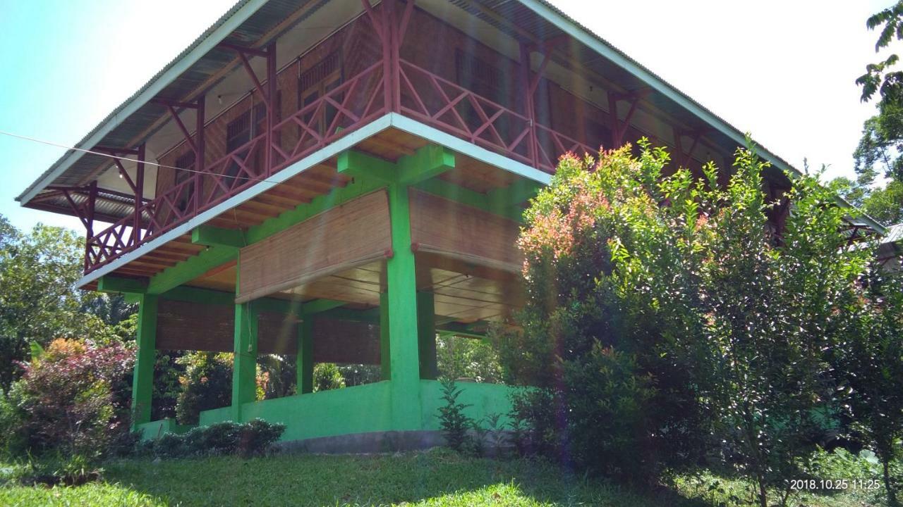 Green Forest Tangkahan Exterior photo