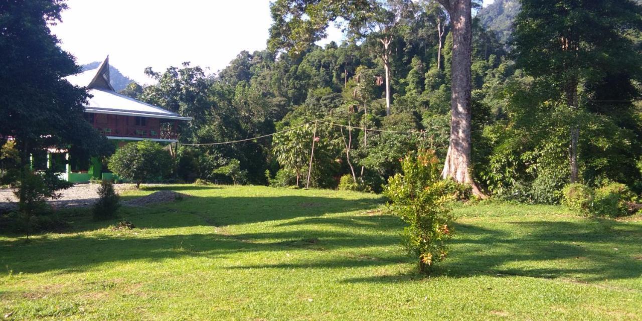 Green Forest Tangkahan Exterior photo